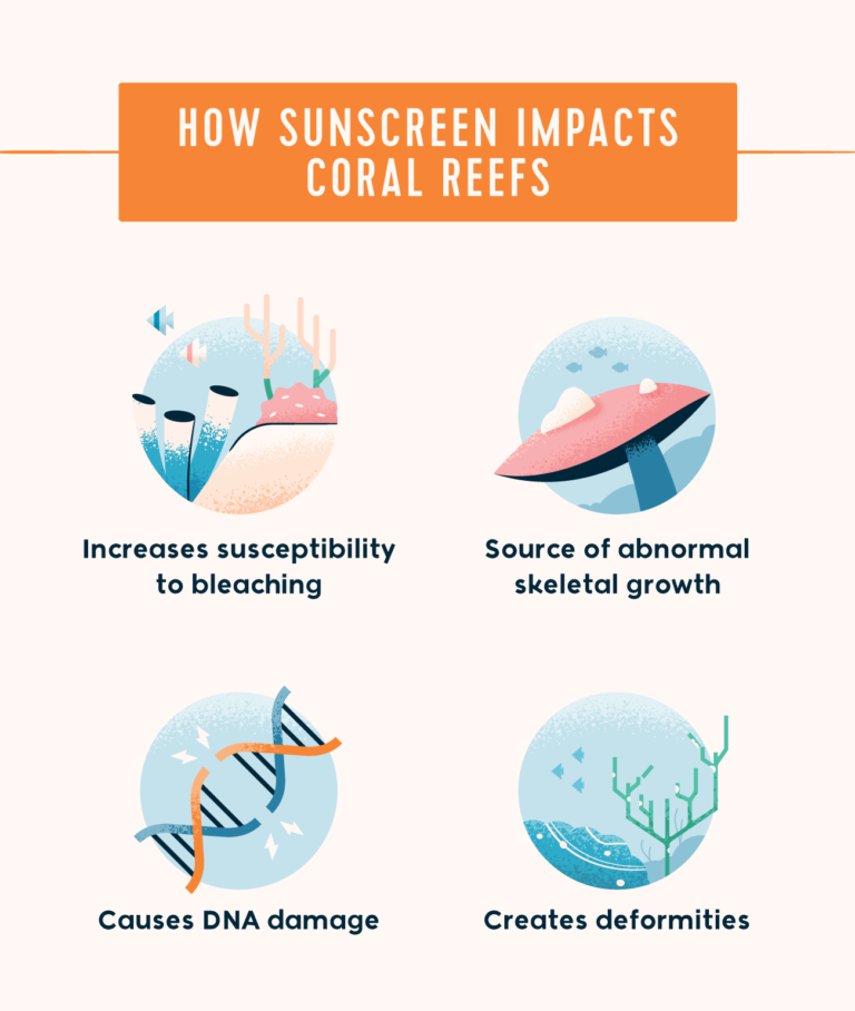 Reef Safe Sunscreen Guide For A Safer Sea Floridapanhandle