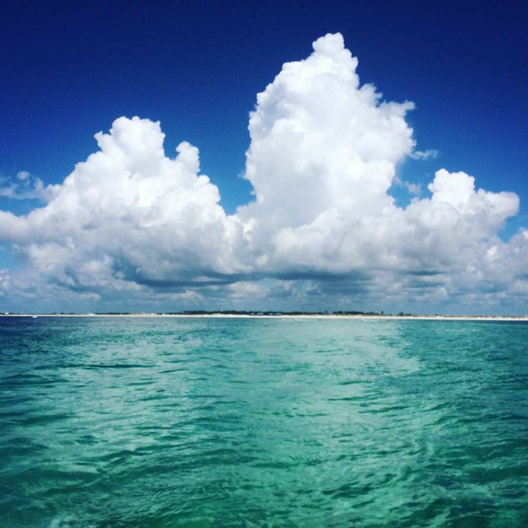 Unbiased Review of Destin Snorkel with Photos & Insider Tips