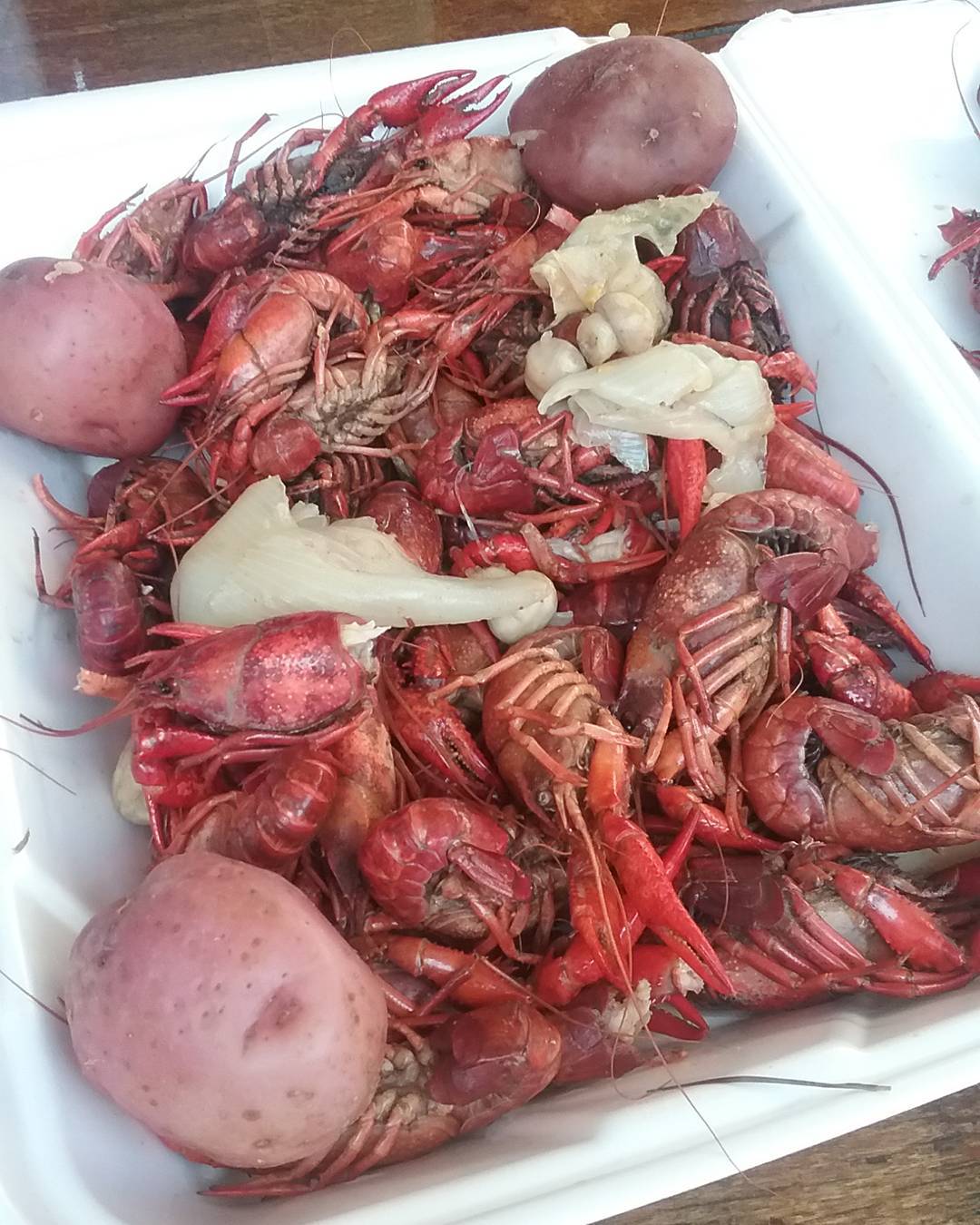 Unbiased Review of Bamboo Willie's in Pensacola Beach