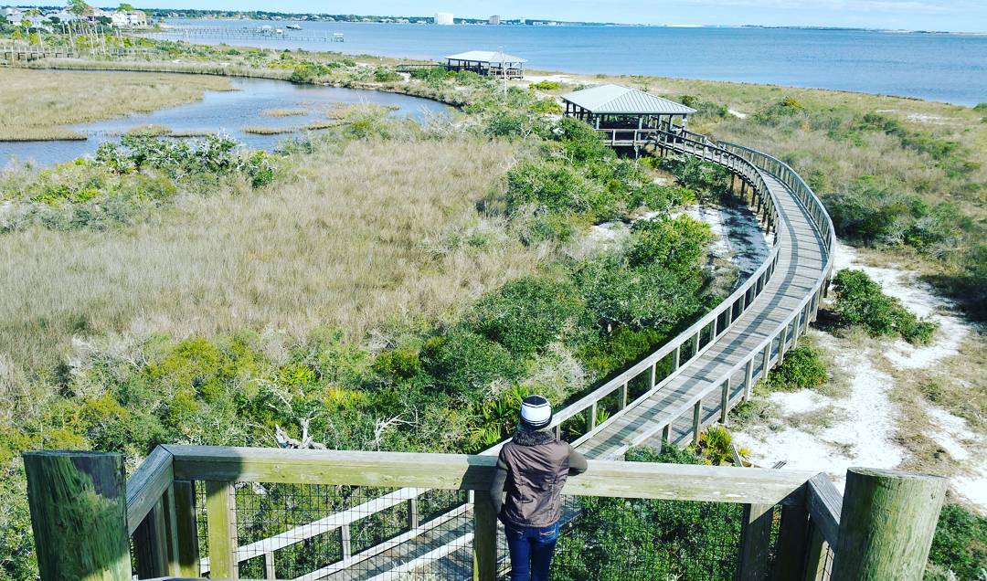 Unbiased Review of Big Lagoon State Park in Pensacola, FL