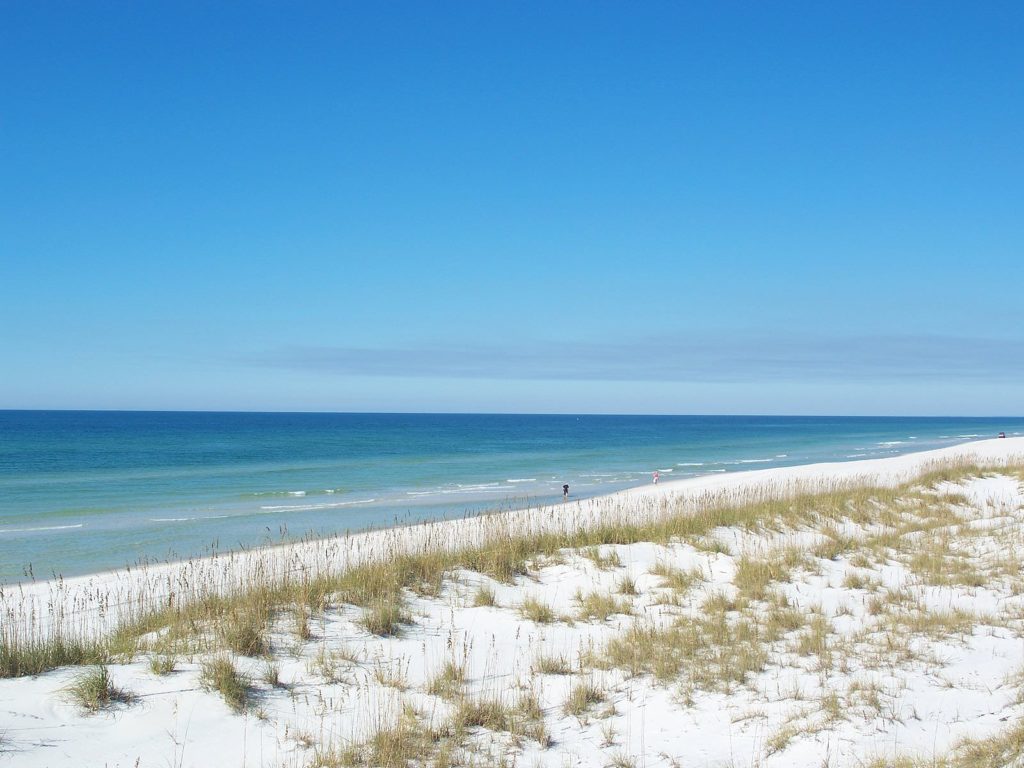 Cape San Blas Activities and Attractions the Kids Will Love