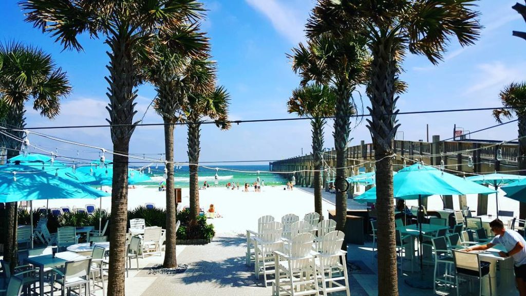 view of the beach through some palm trees
