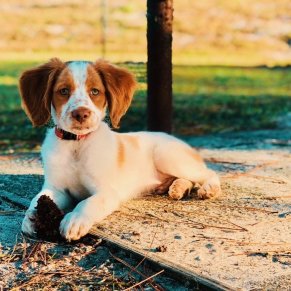 Unbiased Review of Big Kahuna's Water & Adventure Park