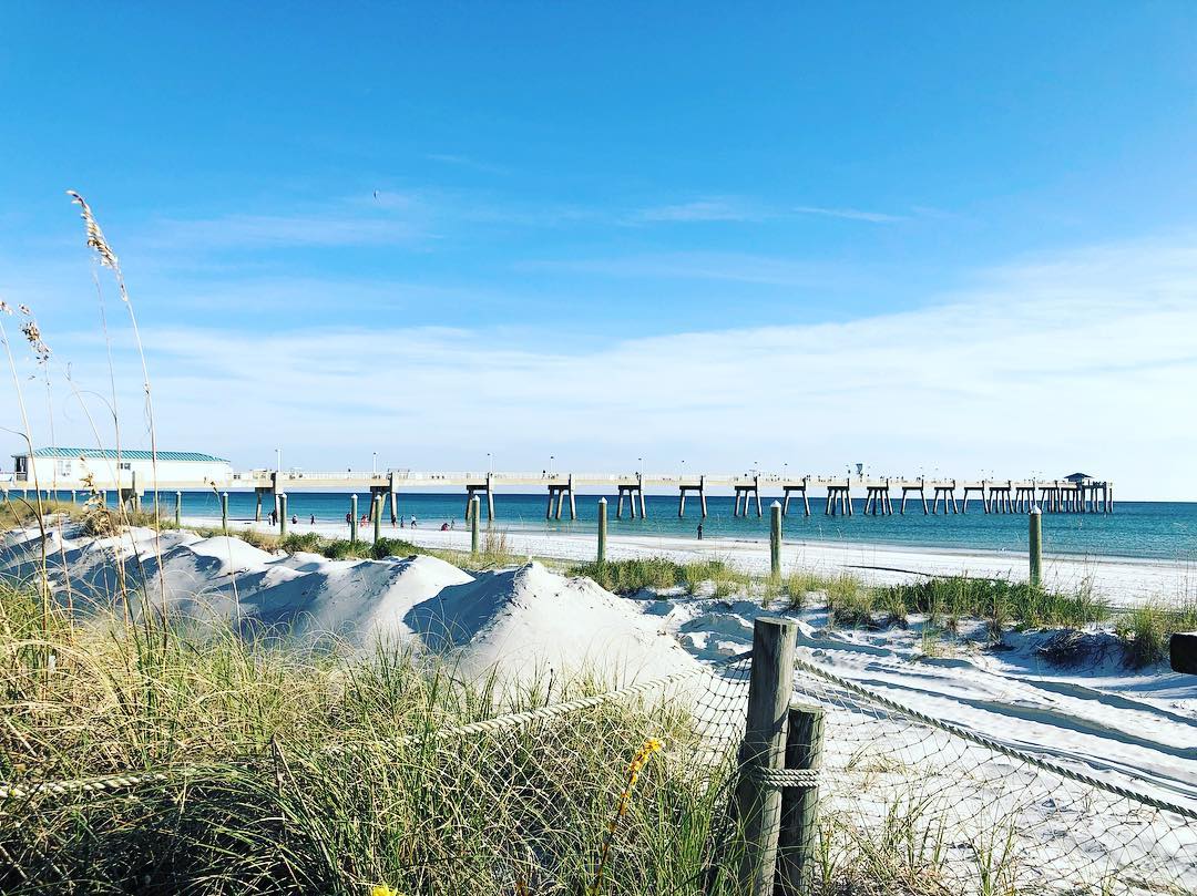 Unbiased Review of Gulfarium Marine Adventure Park