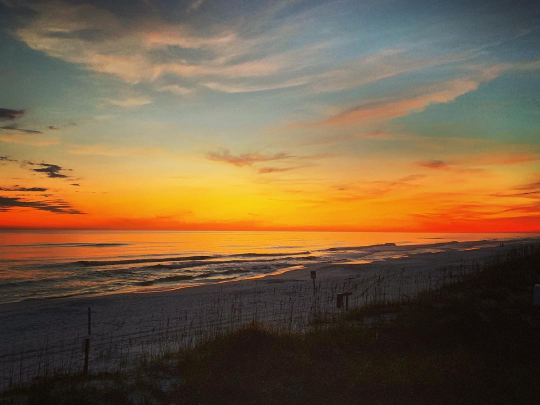 Review of Miramar Regional Public Beach w/ Photos