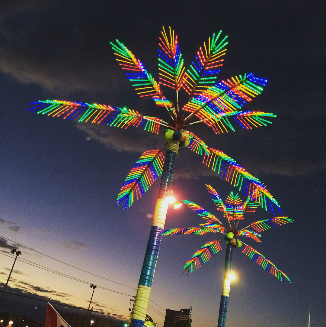 Review of Slingshot & Indy Speedway in Panama City Beach