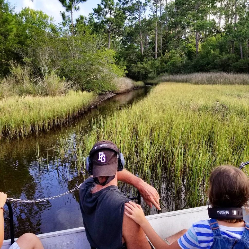 people on a airboat through swampy greens