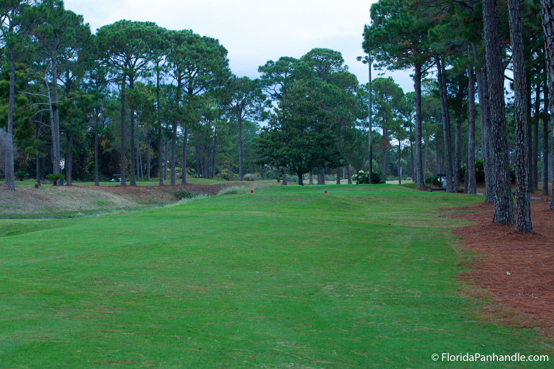 Destin Things To Do - The Golf Garden of Destin - Original Photo