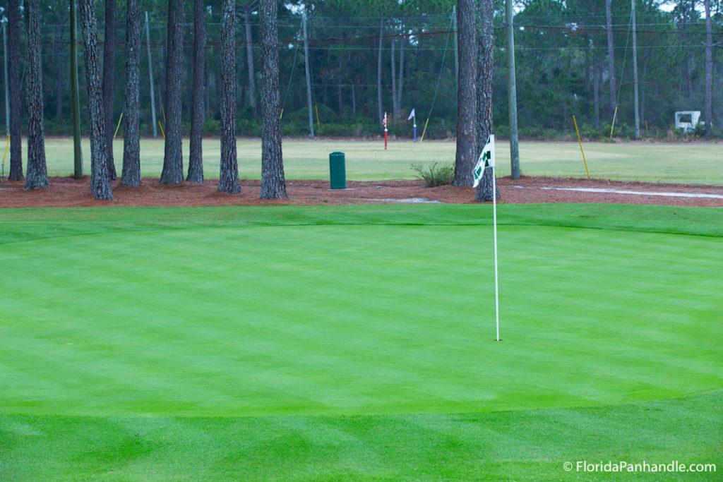 a green grass area with a golf pin and hole in the ground 