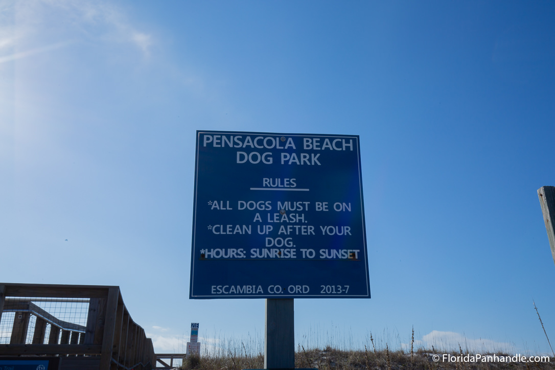 Pensacola Beach Things To Do - Pensacola Beach Dog Park - Original Photo