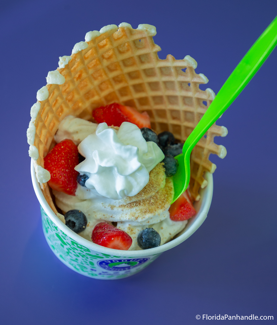 Destin Restaurants - Yogurt Mountain - Original Photo