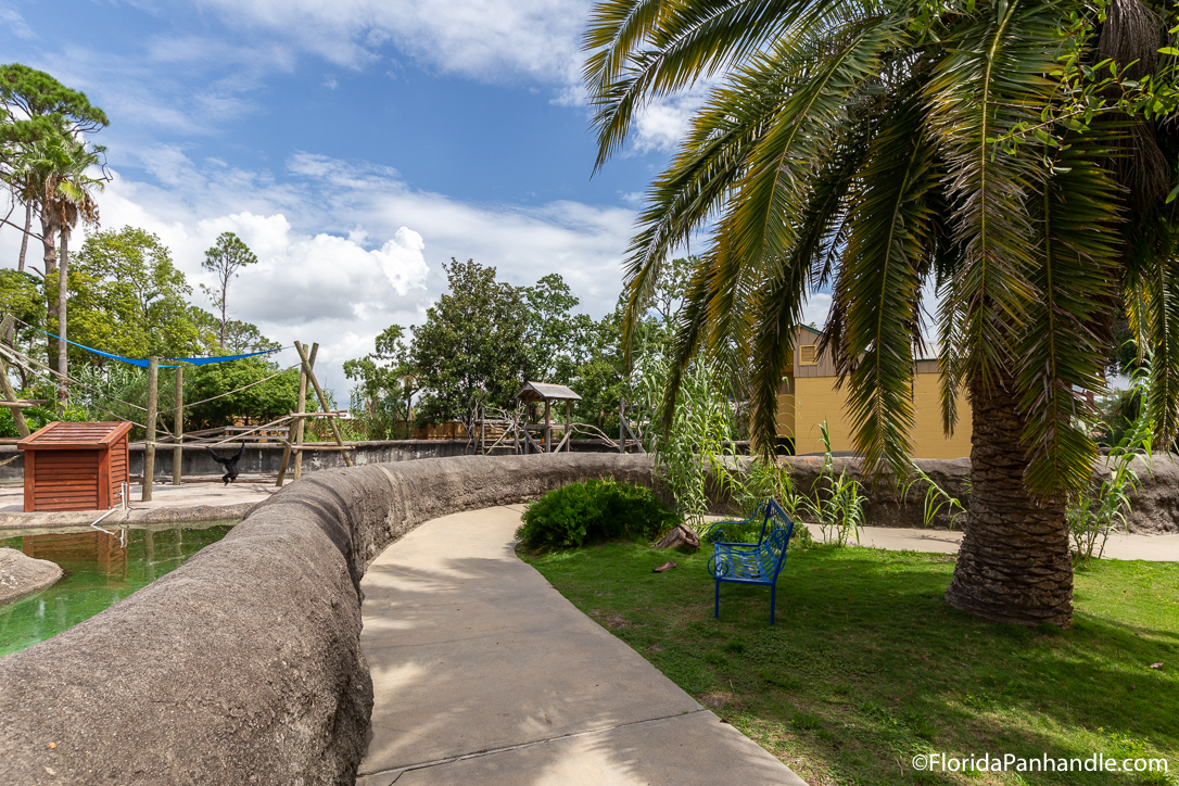 Panama City Beach Things To Do - ZooWorld Zoological Conservatory - Original Photo