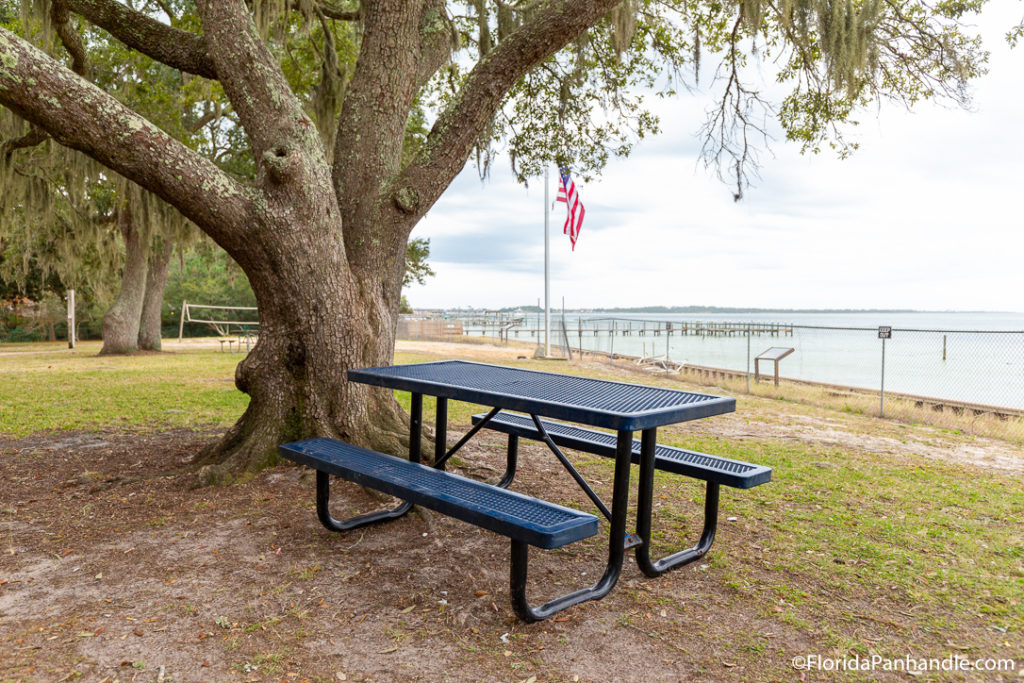 black picnic bench next to a tree with water views in the back at Clement Taylor Park
