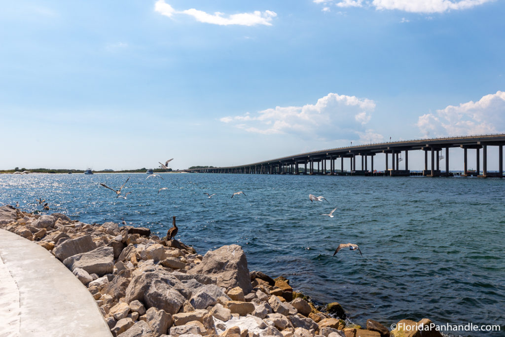 view of a bridge over the water and birds flying over the rocks