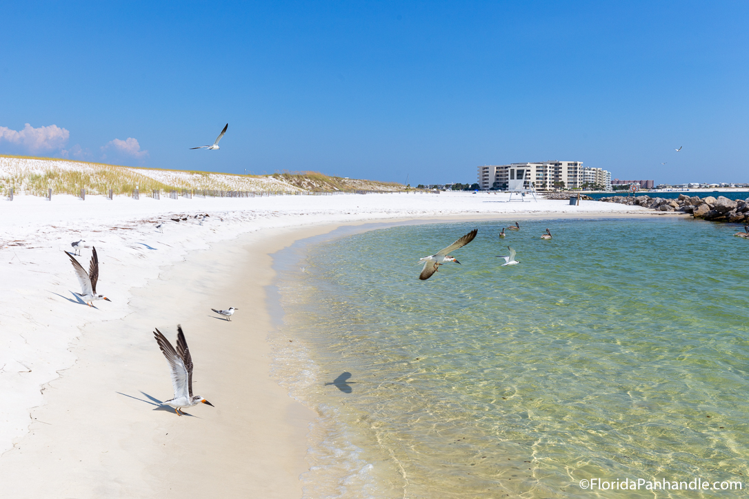 Destin Things To Do - Norriego Point - Original Photo