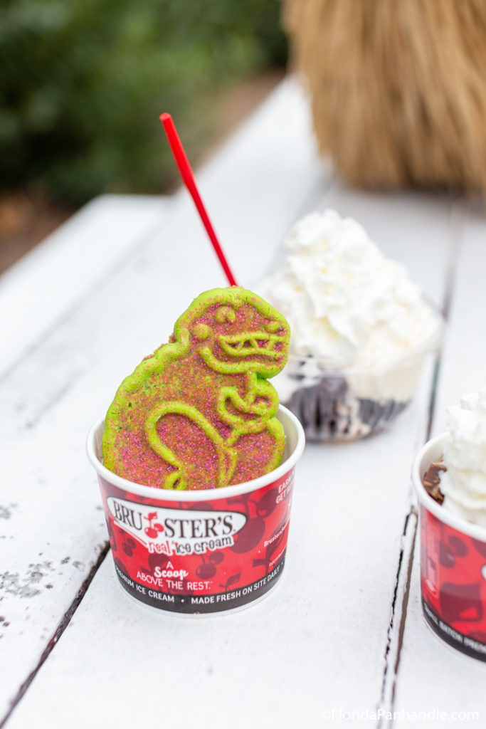 a cup of ice cream with a green and pink dinosaur cookie on top at Bruster's Real Ice Cream in Florida 