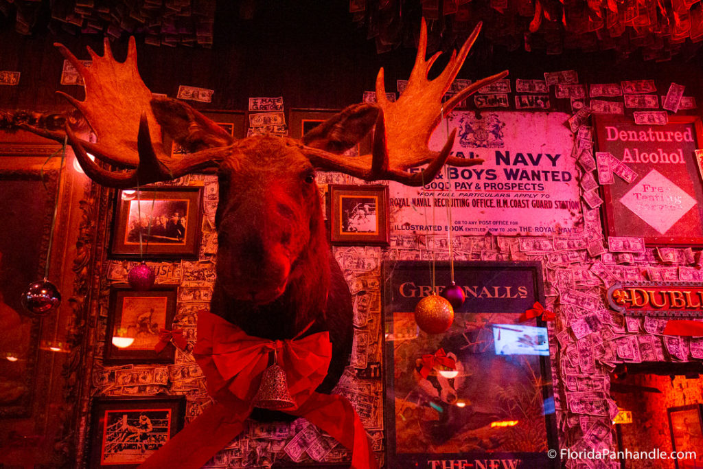 a close up view of a moose head decor that is being hung on the wall