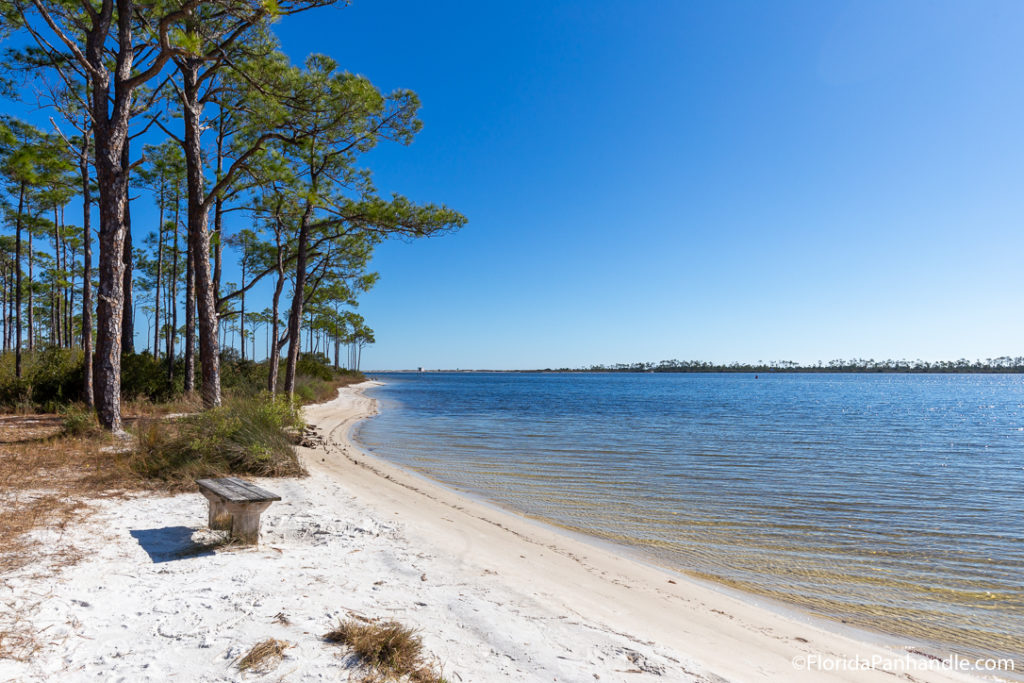 small state park beach with a bench at Big Lagoon State Park in Pensacola Florida