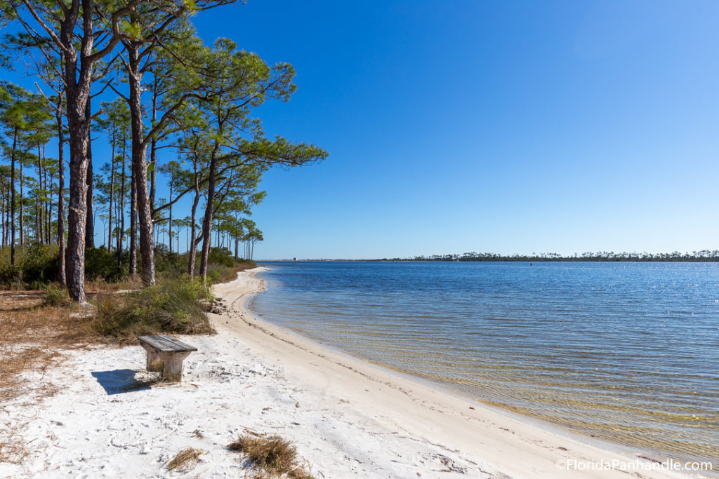 pensacola beach with a wooden bench on it and trees in the background