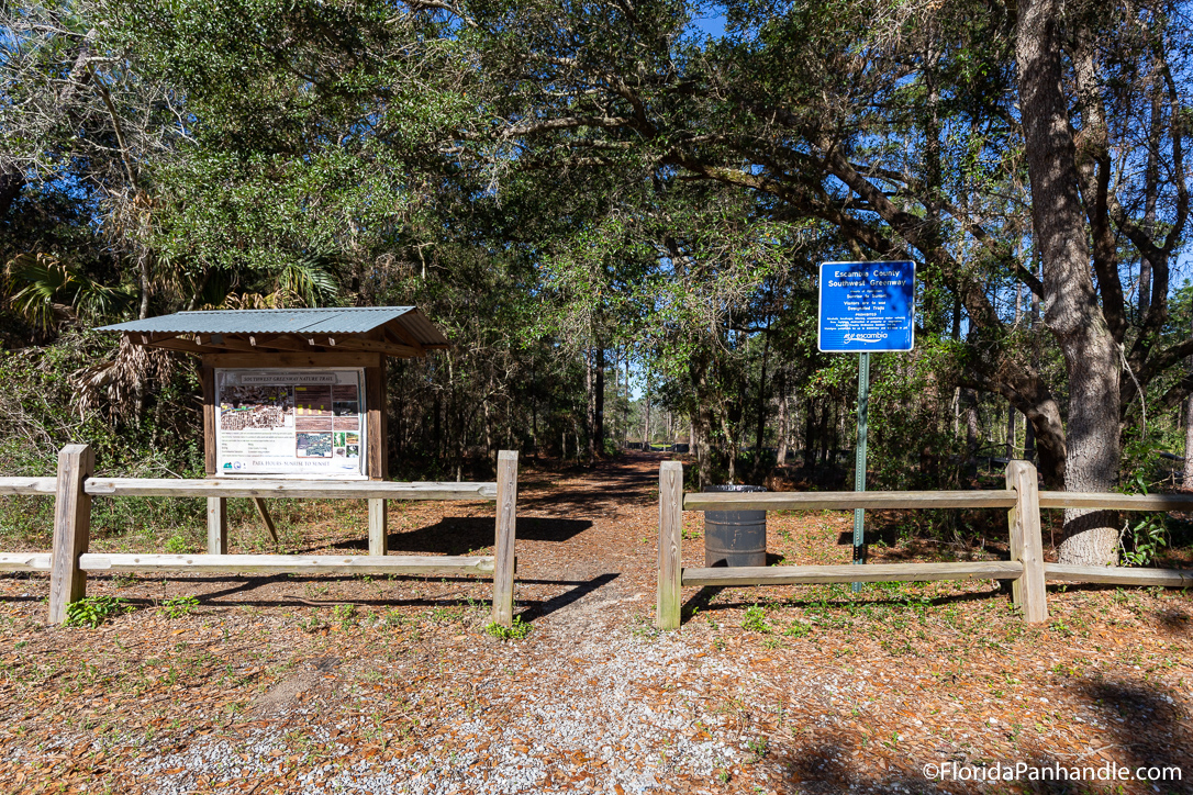 Pensacola Beach Things To Do - Jones Swamp Wetland Preserve and Nature Trail - Original Photo
