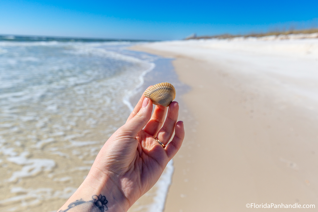 Top 10 Reasons to Visit Pensacola Beach