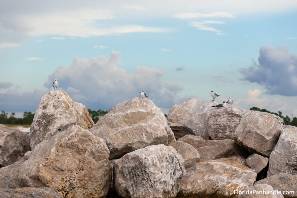 large rocks and boulders with seagulls on top and clouds in the background