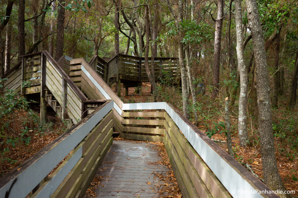a wooden boardwalk leading through a trail in the forest 