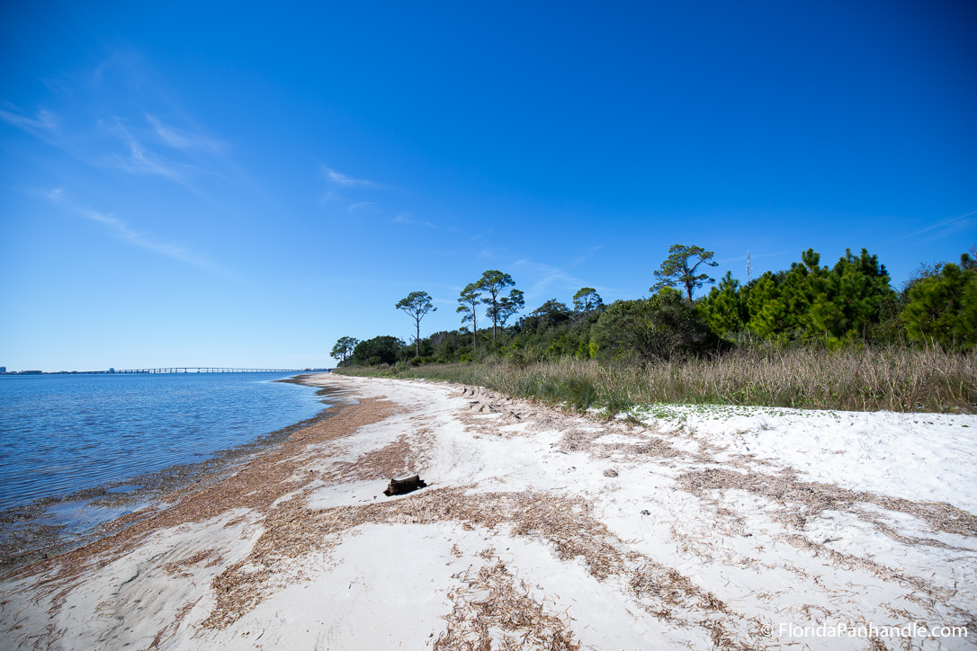 Pensacola Beach Things To Do - Naval Live Oaks Nature Preserve - Original Photo