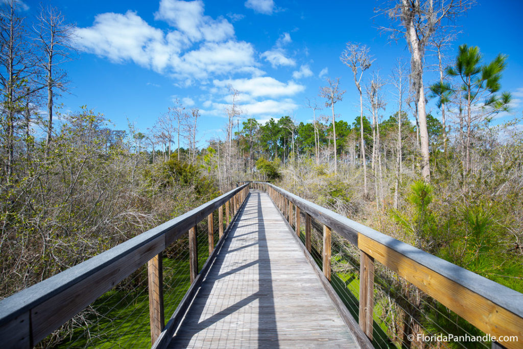 a wooden walkway through a wooded  green area