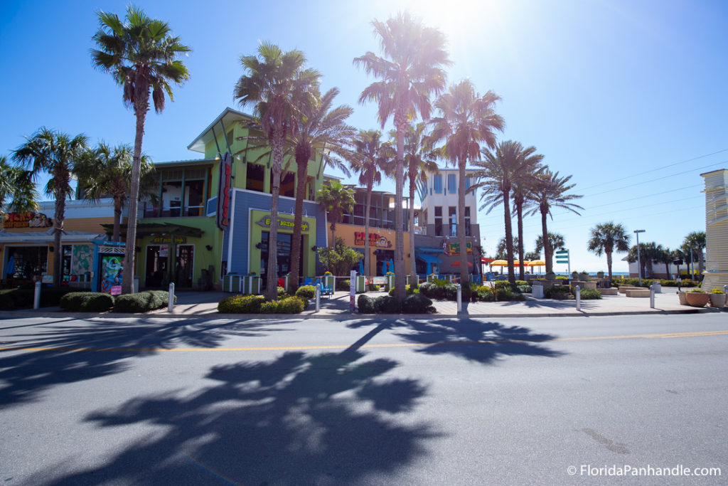 pier park stores behind a few tall palm trees