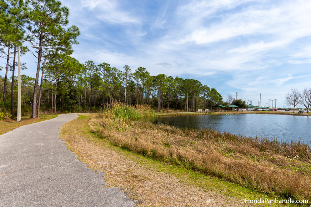 a paved trail alongside a lake and trees