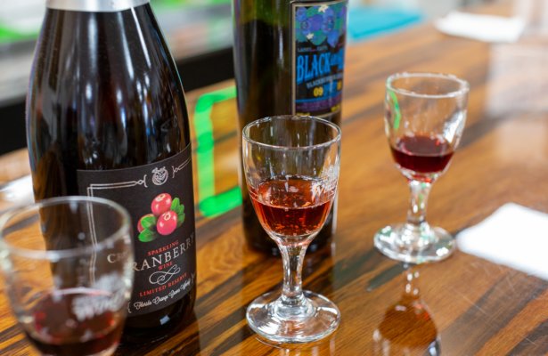 two bottle of wine next to small sample wine glasses at Panama City Beach Winery Florida