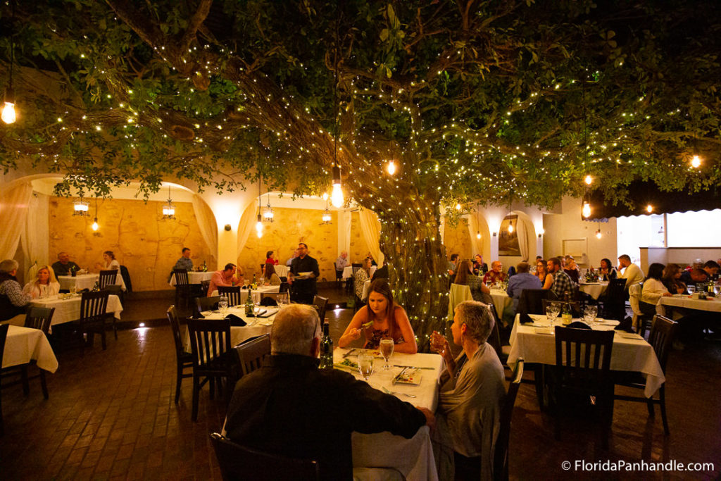 outdoor restaurants called Firefly in panama city beach during nighttime with lit up tree
