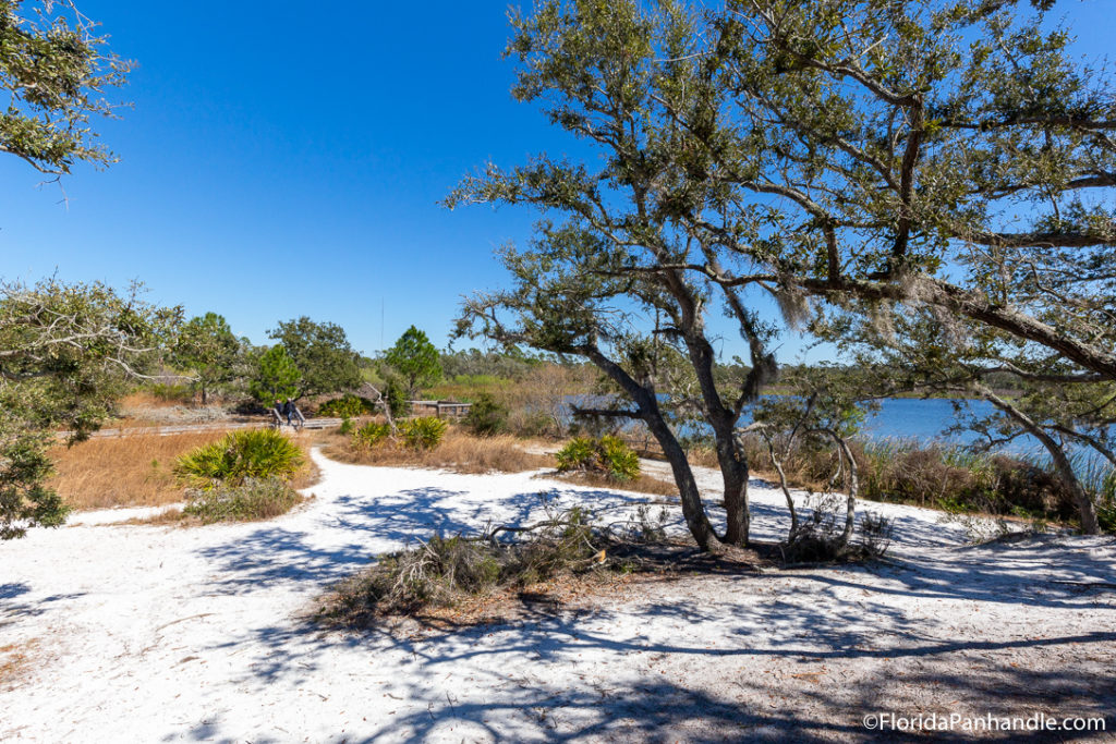 a sandy walking trail area