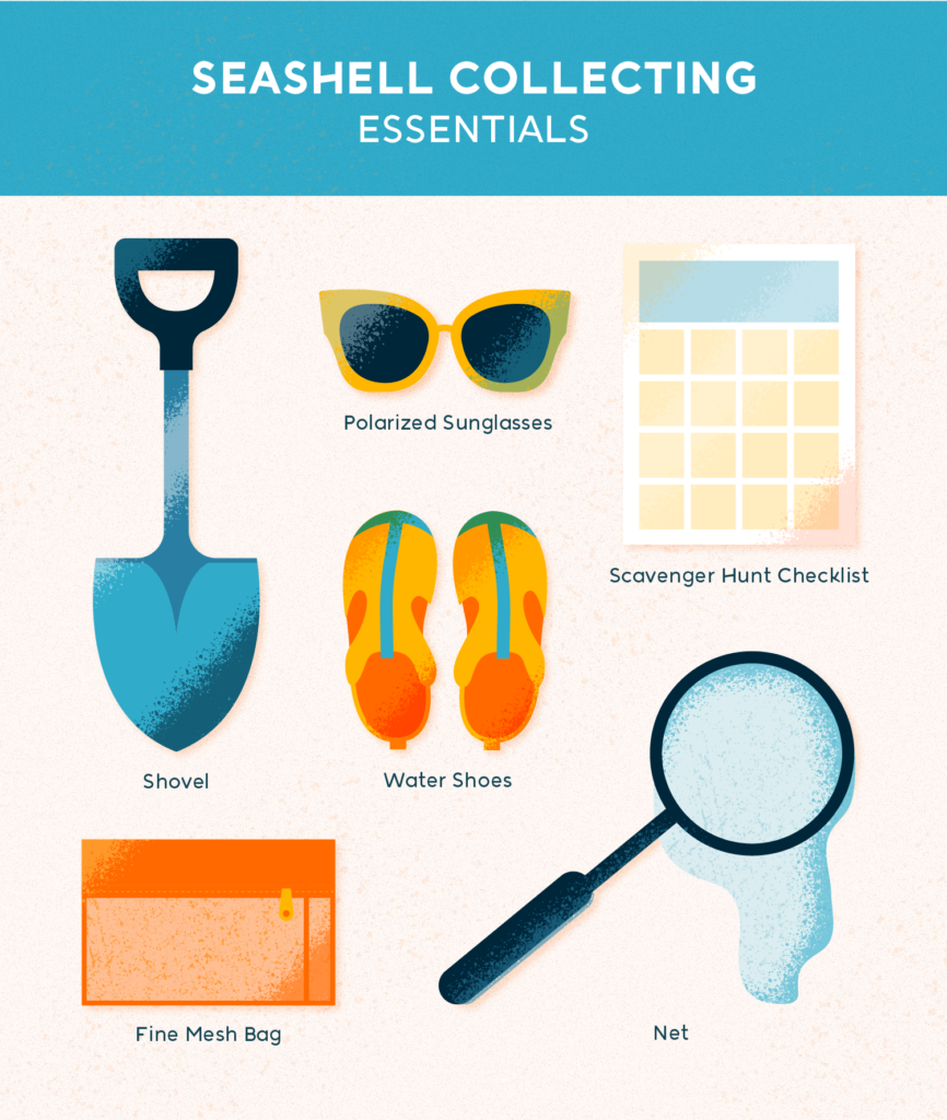 Seashell collecting essentials - sunglasses, net, mesh bag, shovel, water shoes and checklist