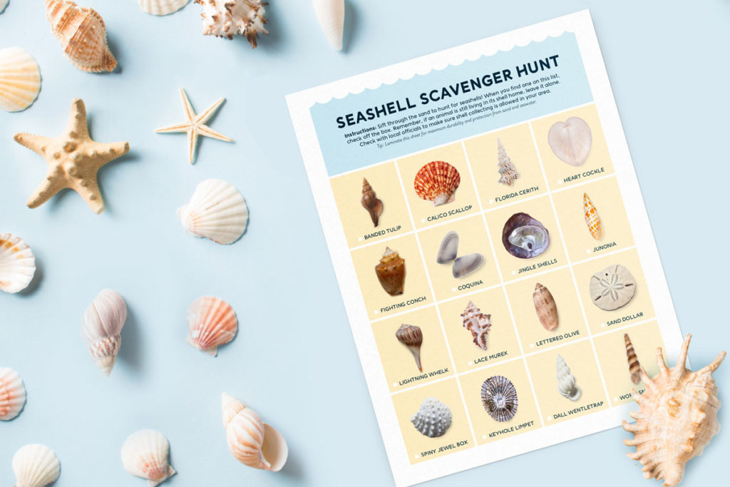seashell scavenger hunt printable
