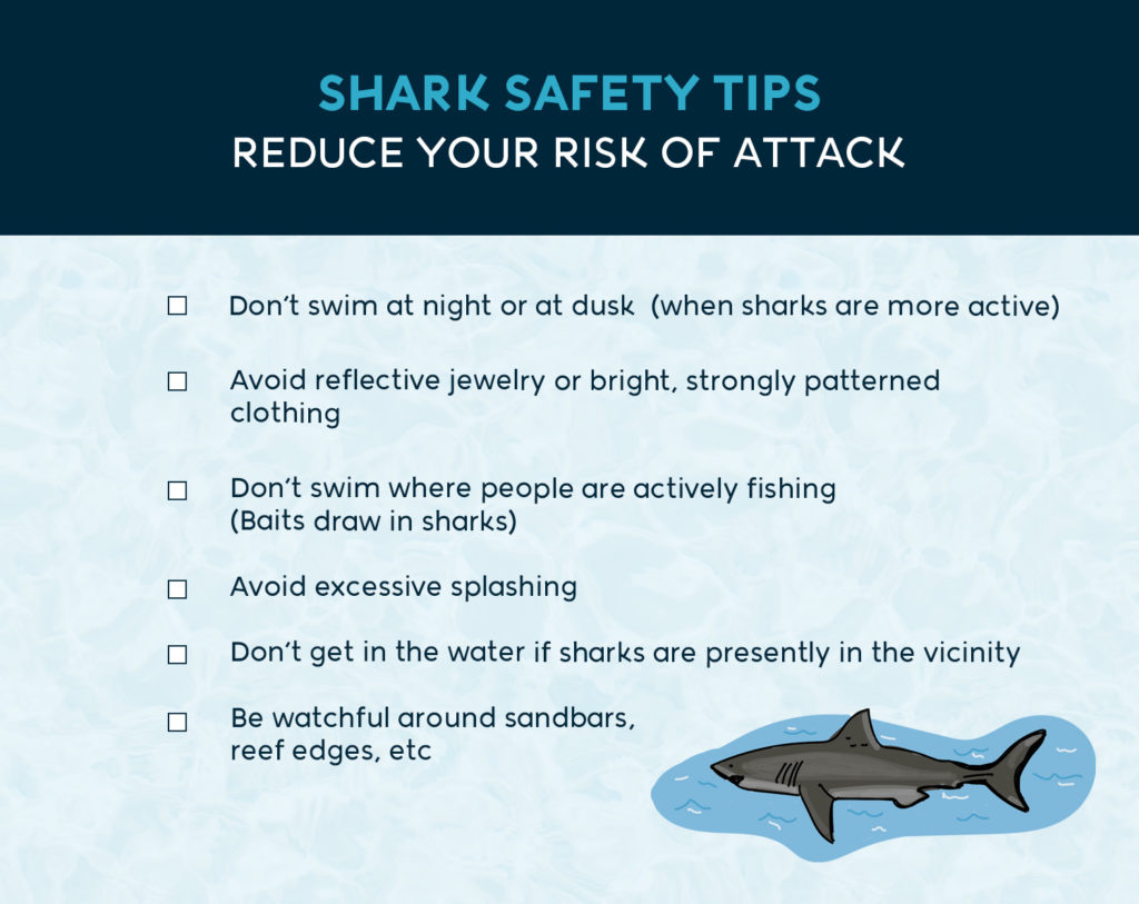 shark safety tips guide