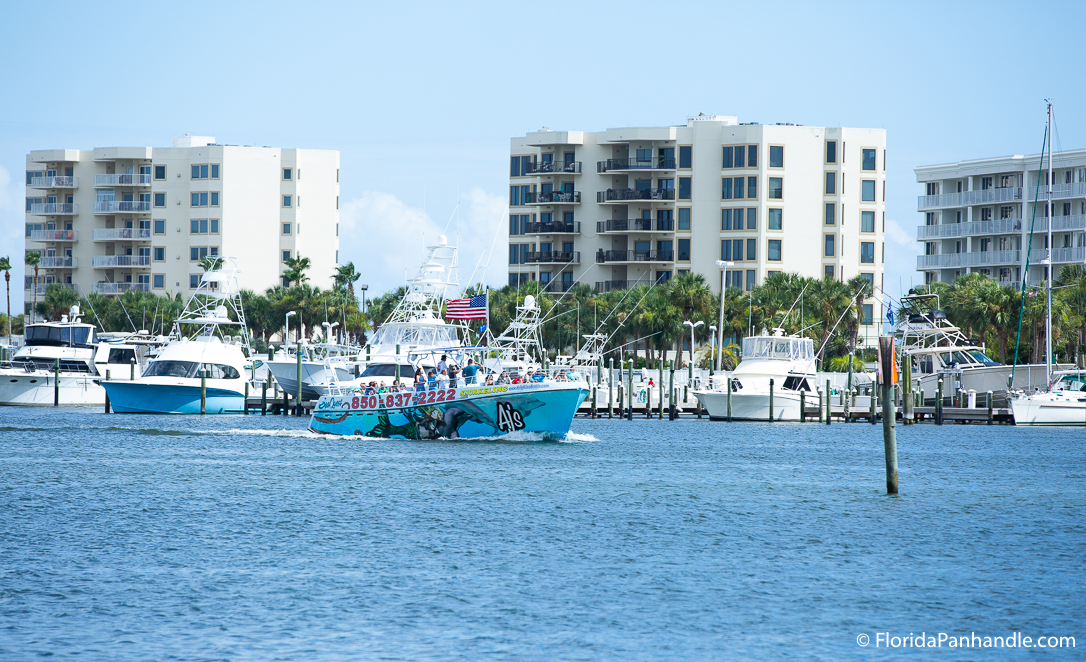 Destin Things To Do - AJ’s Water Adventures: Dolphin Tours and Sunset Cruises - Original Photo
