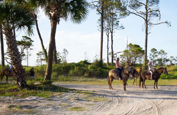 two women riding brown horses 