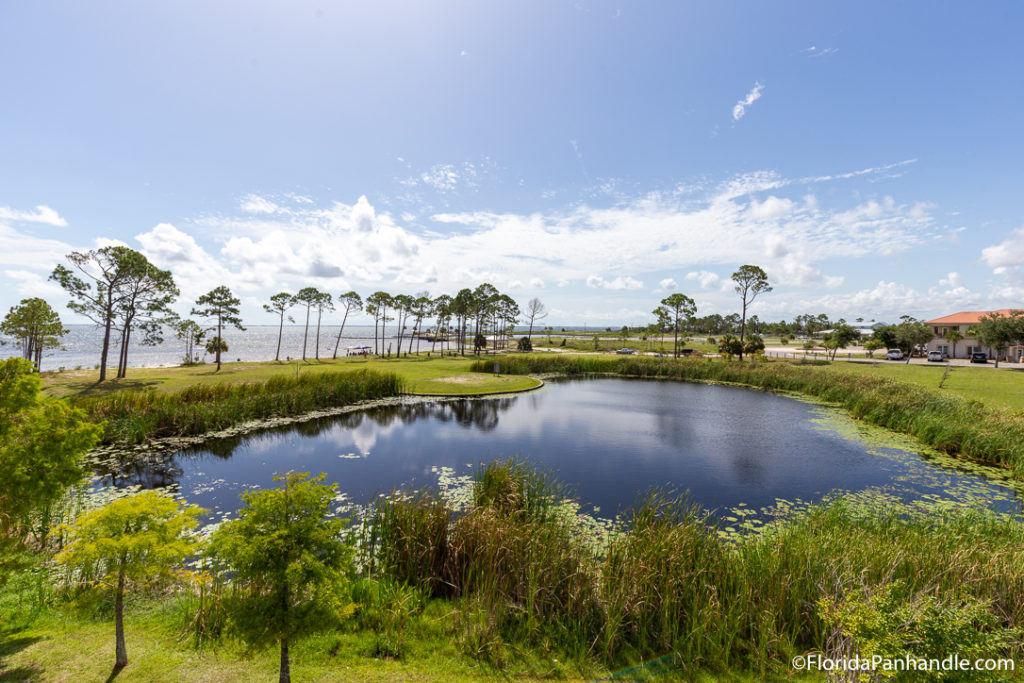 a pond surrounded by lots of greenery and a trees with a beach in the background in Cape San Blas, Florida