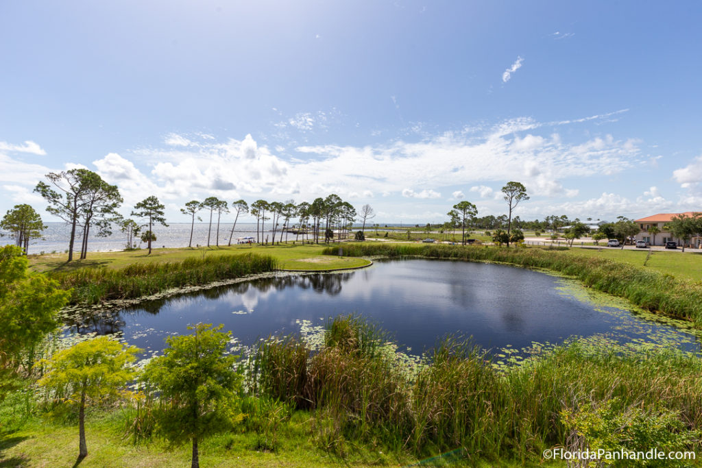 a large body of water surrounded by lush green right next to the beach