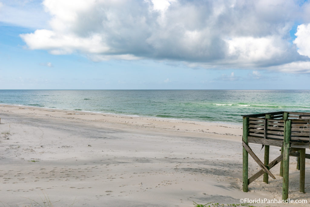  view of the beach with calm waters at William J. Rish Park in Florida