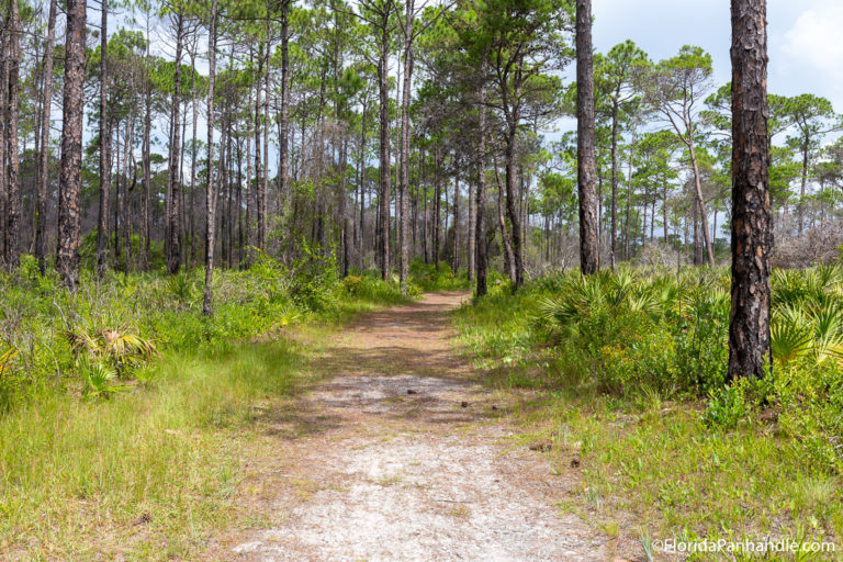 Five Incredible Hikes Around Panama City Beach, Florida