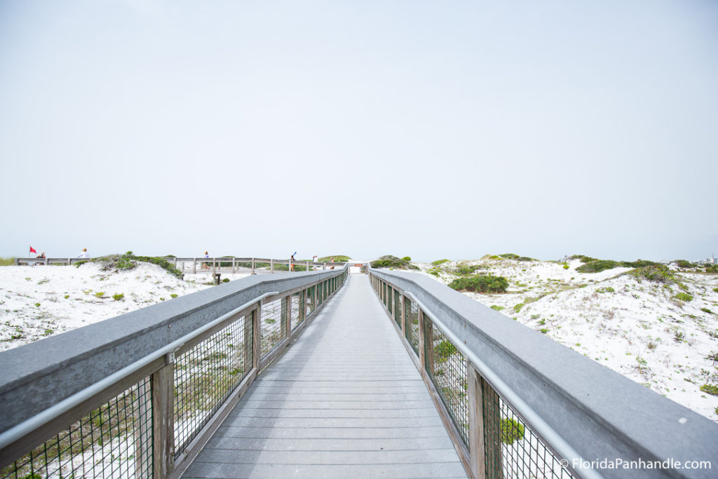boardwalk at grayton beach state park surrounded by sand