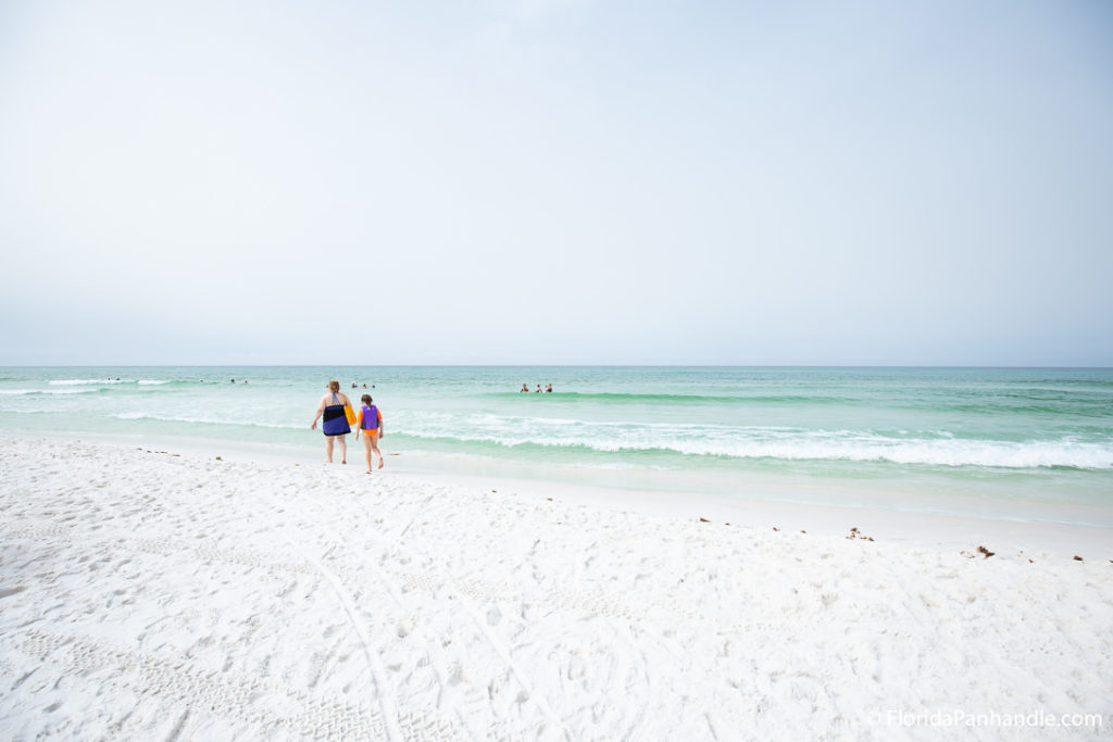 are dogs allowed at grayton beach state park