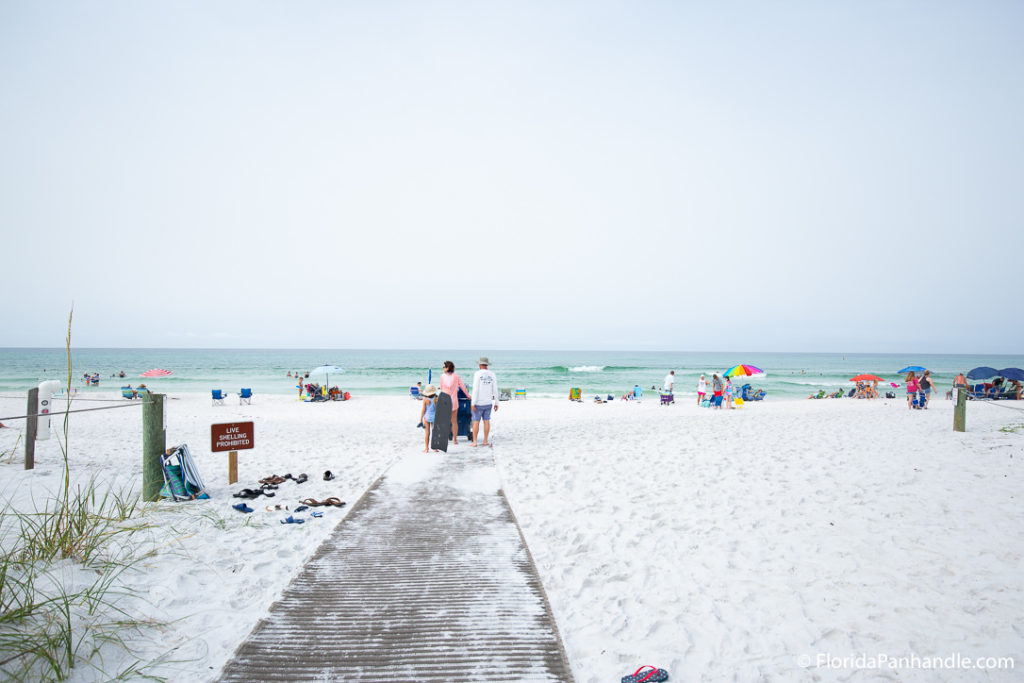 pathway surrounded by sand leading to ocean shoreline