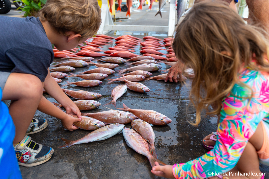Panama City Beach Things To Do - Miss Kelley Fishing Charters - Original Photo