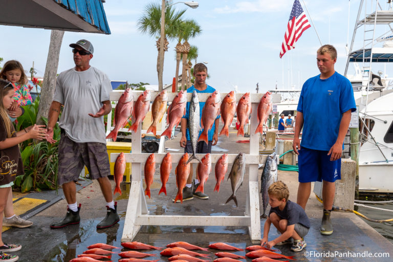 Fisherman's Guide to Deep Sea Fishing in Panama City Beach