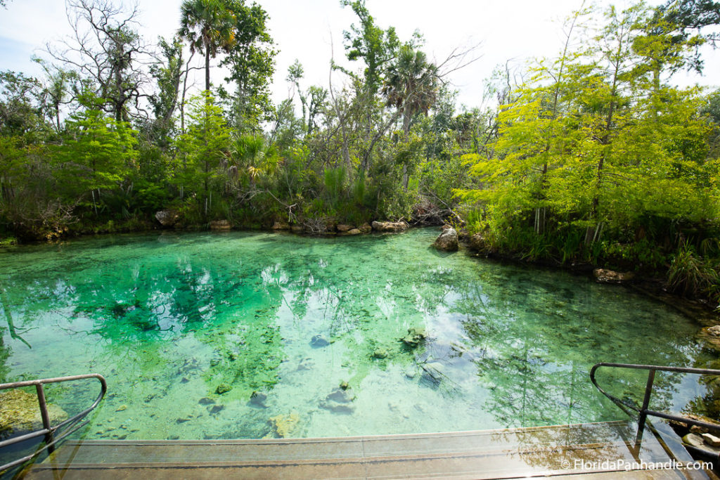 steps leading down to a clear inlet spring surrounded by lush wooded greenery