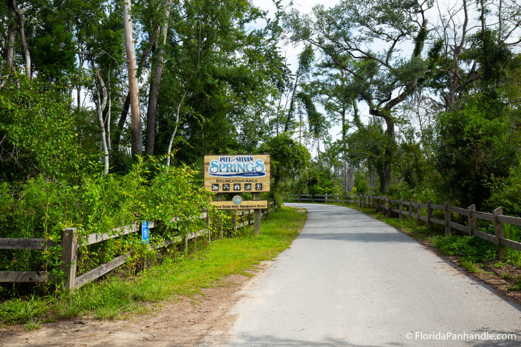 a paved entrance surrounded by wooded greens to Pitt Sylvan Spring in Florida